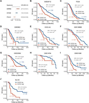Integrating cell cycle score for precise risk stratification in ovarian cancer